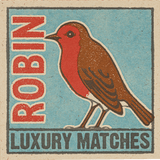 Archivist The Robin Matches