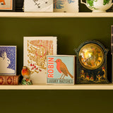 Archivist The Robin Matches