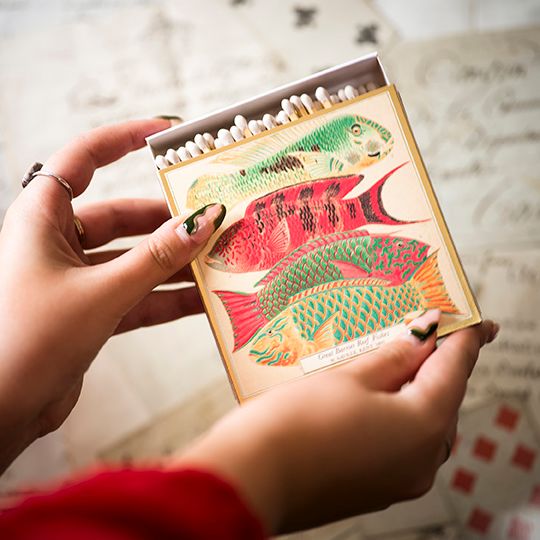 Archivist Fish Matches