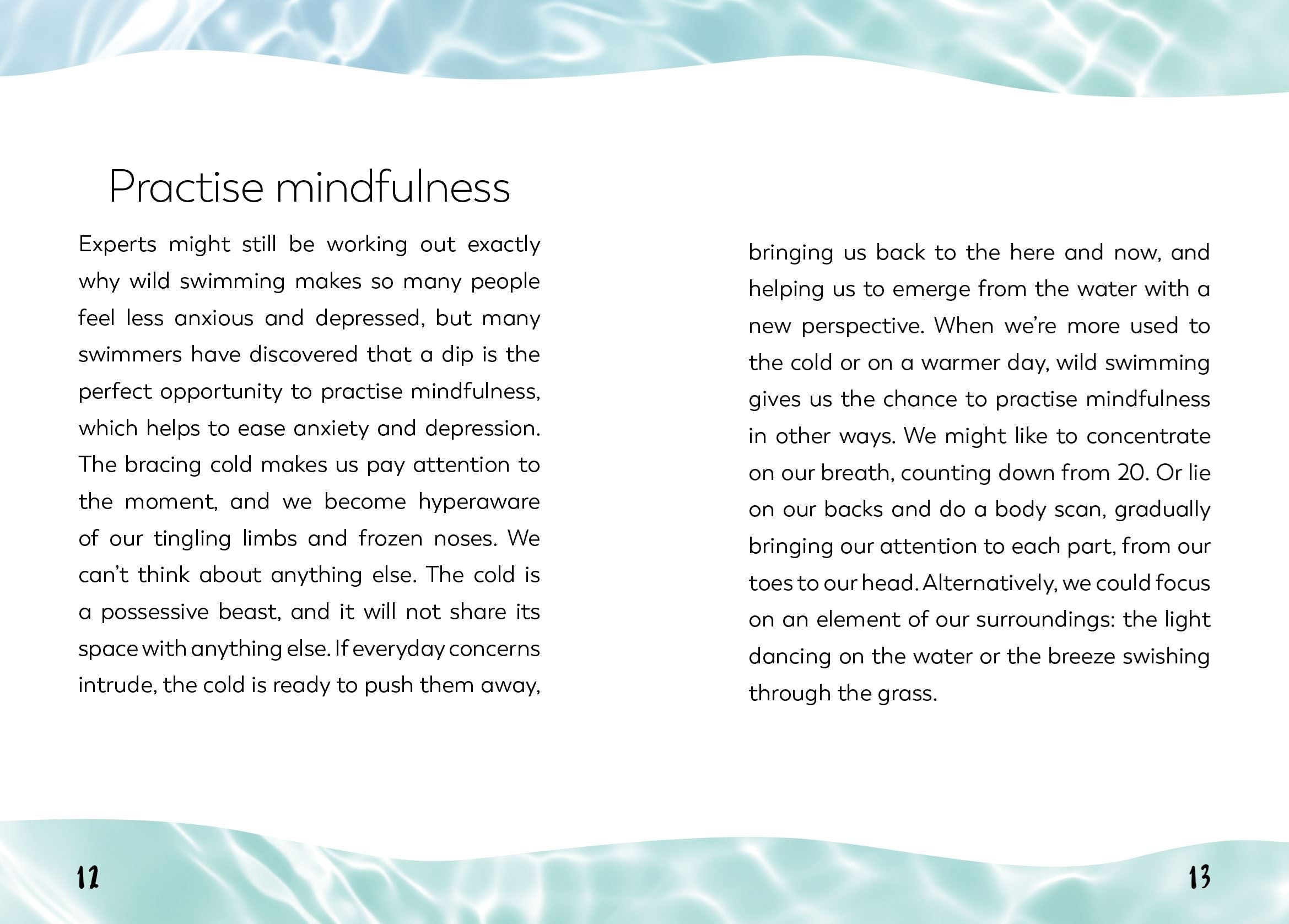 Little Book For Wild Swimmers Bookspeed