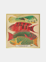 Archivist Fish Matches