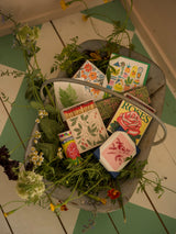 Archivist Red Rose Matches