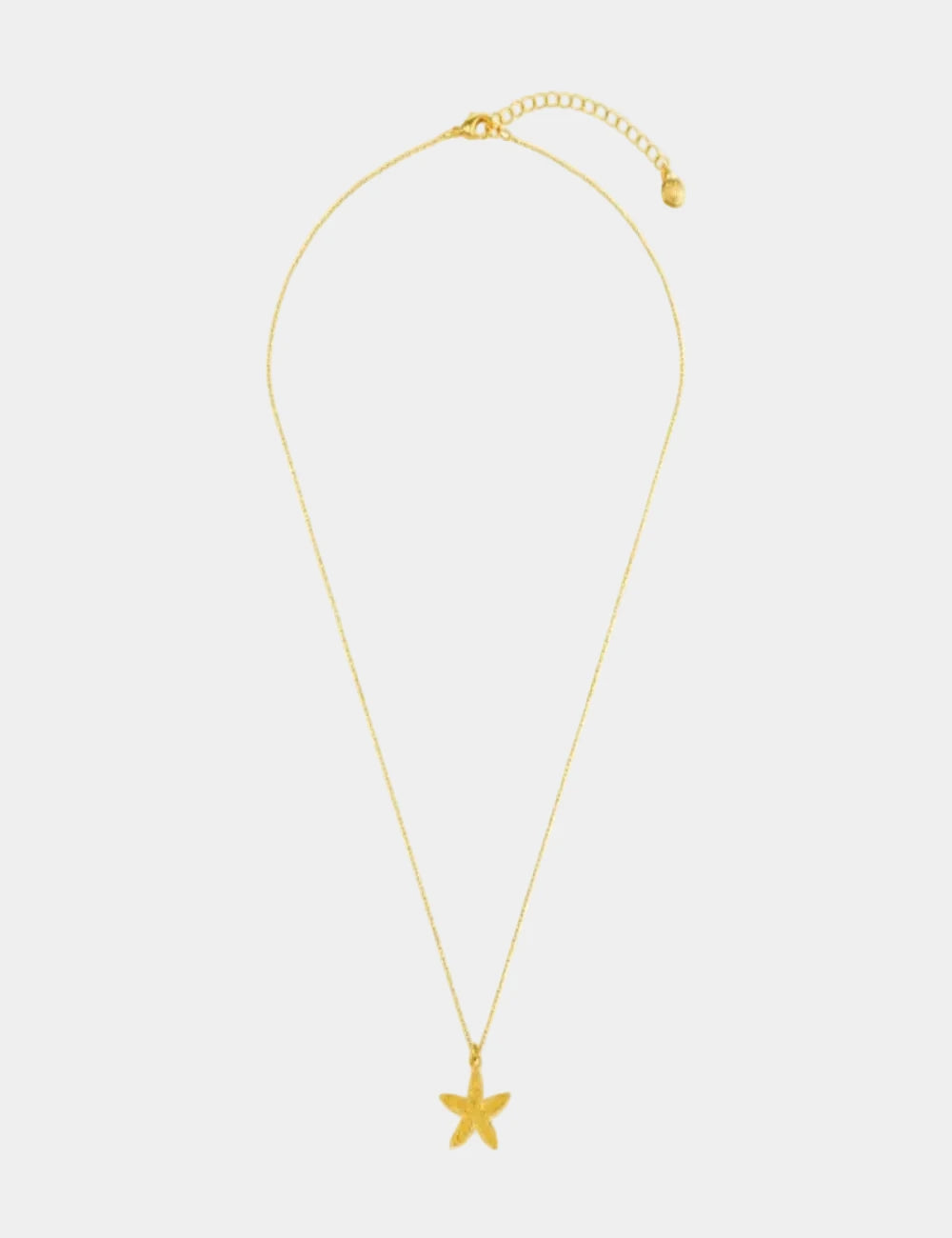 Gold necklace with a star pendant on a white background